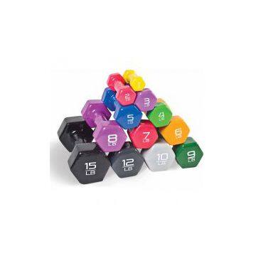 China Manufacture Wholesale 6kg Vinyl Dumbbell photo-2