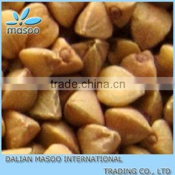 Chinese New Crop Toasted Buckwheat Kernel