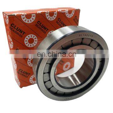 NCF2232 Roller Bearing SL182232 SL 182232 Bearing