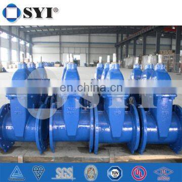 140mm Resilient Seated Sluice Gate Valve 150 Price photo-3