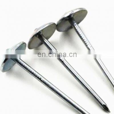 China Supplier Roofing Nails Suppliers in China With High Quality and Low Price Insulated photo-3