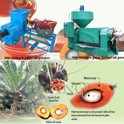 palm oil extraction machine price palm oil making machine palm oil processing machine in Nigeria