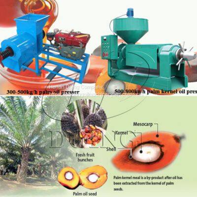 Palm Oil Extraction Machine Price Palm Oil Making Machine Palm Oil Processing Machine in Nigeria