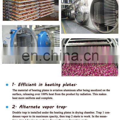 High Quality Liofilizador Industrial photo-5