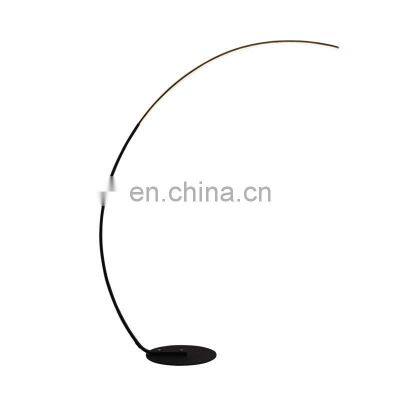 Minimalist LED Floor Lamp Modern Homecreative Fishing Lamp Ins Arc Floor Light