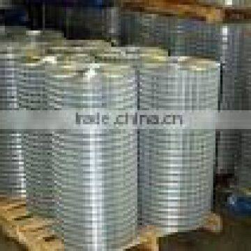 galvanzied welded Wire Mesh