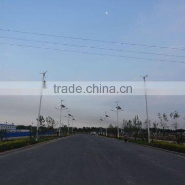 Direct sale long service life wind solar hybrid led street light