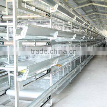 Hot galvanized layer chicken cages for sale