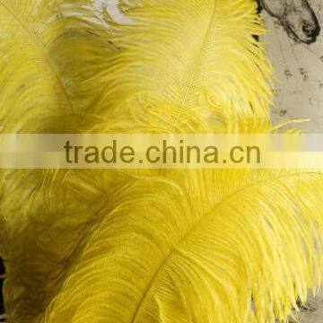 Wedding Decoration Centerpieces Wholesale Ostrich Feather photo-3