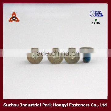 China Suzhou Hongyi Supplier Special Screw In Torx Socket Flat Big Head With Nyloc Patch