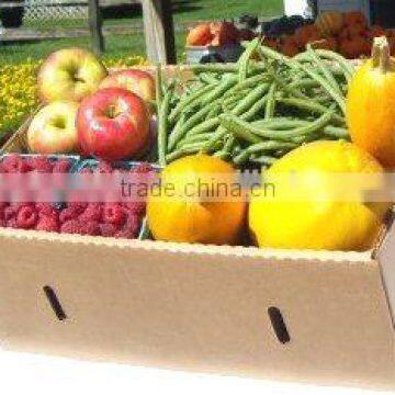 Corrugated Carton Box Packaging Fresh Fruit and Vegetable photo-3