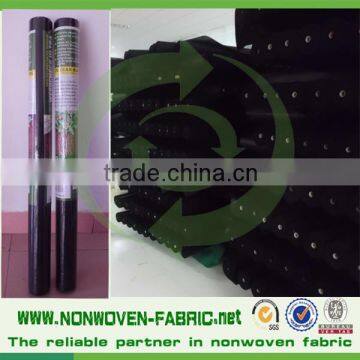 Agriculture Biodegradable PP Spunbond Nonwoven Fabric Garden Fleece/ Weed Control/ Ground Cover photo-5
