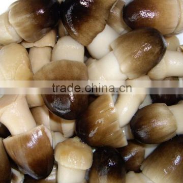 Polish Wild Dried Button Mushroom Low Price