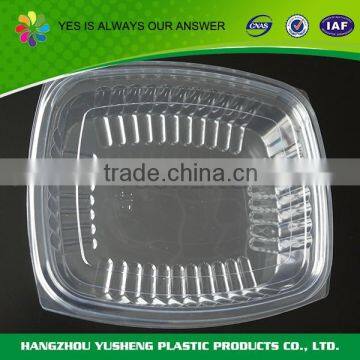 Clear hinged lid plastic boxes,clear plastic box