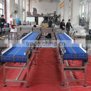LBP Chain Conveyor for Accumulation photo-2