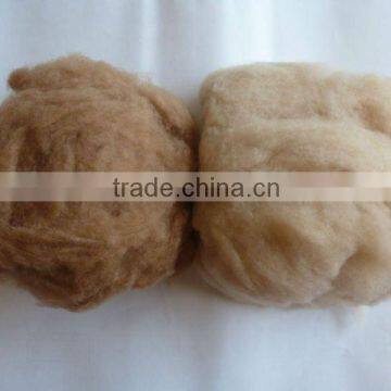 Dehaired Camel Hair From Alxa, Inner Mongolia