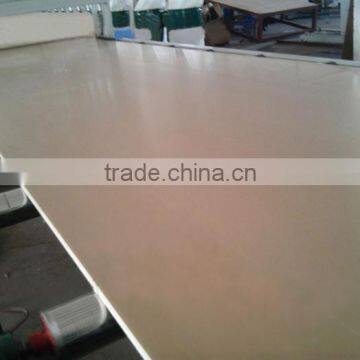 WPC Board Extrusion Line/WPC Board Production Line photo-4