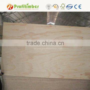 Construction Grade Pine CDX Plywood photo-5