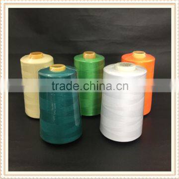 Dyed Pattern and High Tenacity Feature 40/2 100% Spun Polyester Sewing Thread photo-2