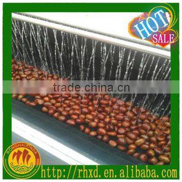 fresh chestnut,2015 chestnut,TianJin chestnut factory fresh