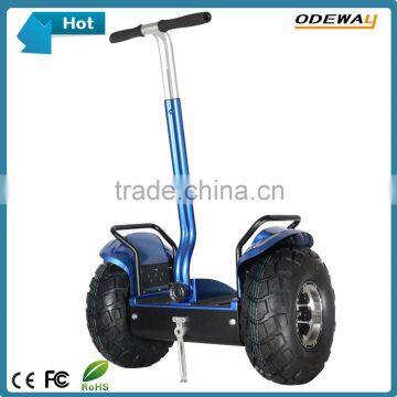 New Offroad Buggy 19inch Fat Tire Electric Scooter With Cool Style