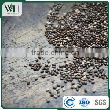 Latin America Organic Mixed Chia Seeeds photo-2