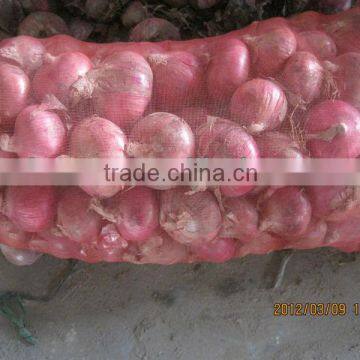 fresh red onions for sale types red onions lowest price fresh red onion