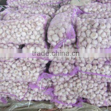 Fresh garlic