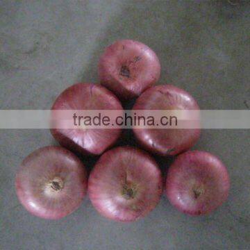 Chinese Fresh Red Onion