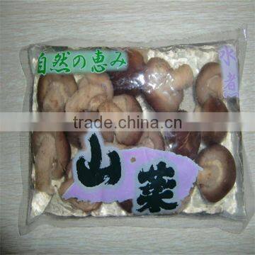 shiitake mushrooms 1kg lowest price for mushroom lowest price for mushroom