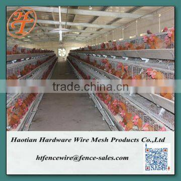 Chicken Breeding Cages for Laying Hens