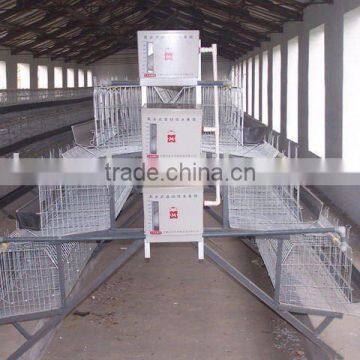 layer chicken shed for poultry farming