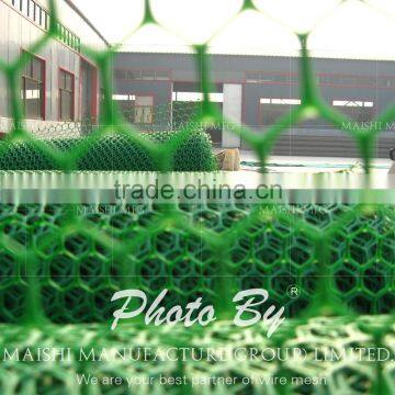Hexagonal Shape Grass Protection Mesh photo-4