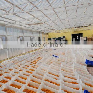 Sterilization Machine photo-4