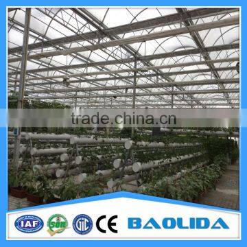 Fiberglass Greenhouse Covering photo-5
