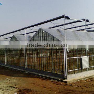 Galvanized Steel Structure Tempered Glass Greenhouse/Hydroponics Greenhouse/Commercial Greenhouse photo-2