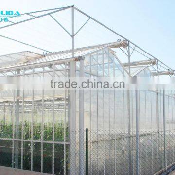 Multi-span Glass Agricultural Greenhouses For Sale/Used For Vegetable photo-2
