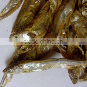 Natural Animal(cat and Turtle) Food Dried Fish photo-2