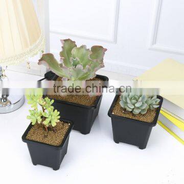 European Sqaure Pot photo-4