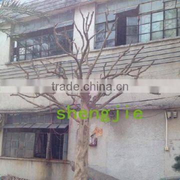 Q020216 Large Outdoor Artificial Dry Tree for Decoration Natural Fake Tree Trunks photo-5