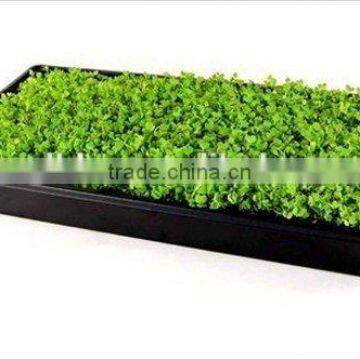 Customed Commerical Plastic Tray for Hydroponic Systems