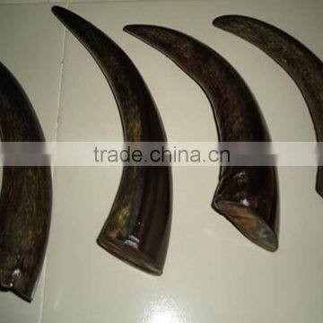 Buffalo Horn Solid Tips photo-4