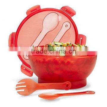 Food grade Salad bowl with Cool Pack