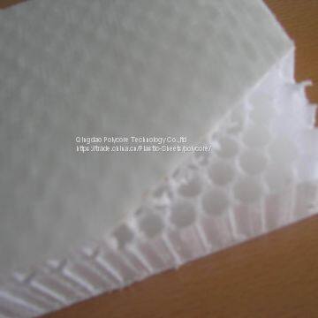 Light Weight Stiffness Strength PP Honeycomb Act as Structural Material in Building