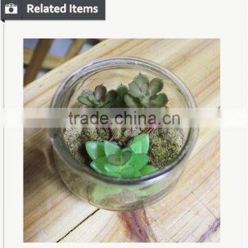 Artificial Succulents Artificial Mini Succulents Artificial Succulents Wholesale photo-6