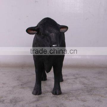 Definitive Angus Looking Left photo-3