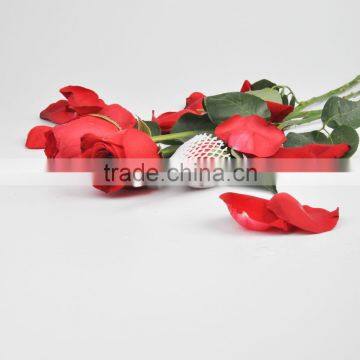 Customized Various Sizes Colors Flower Bud Packing Net photo-6