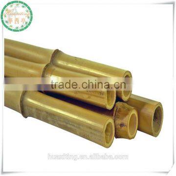 High Quality Garden Green Bamboo Poles