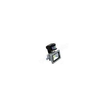 IP65 10Watt Energy Efficient LED PIR LED Floodlight with Bridgelux Chip