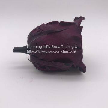 Preserved Rose Gift Arrangement Preserved Flowers photo-5